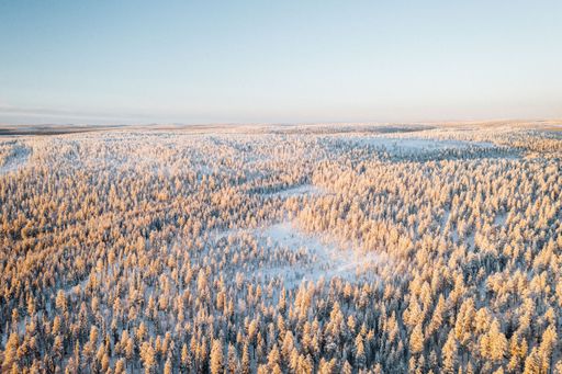 Landscape painted by morning sun in Finnish Lapland
