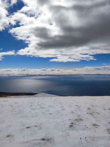 A vertical shot of a body of water near the shore in a snowy winter under a cloudy sky