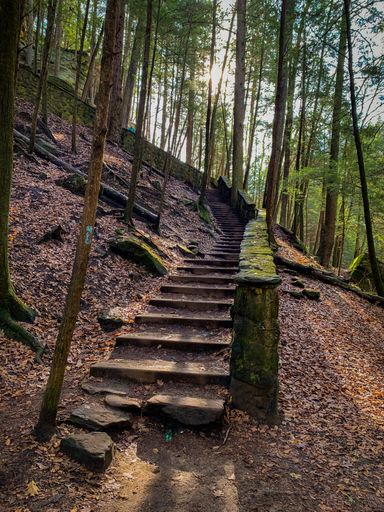 A vertical shot of an old stone stair in the forest