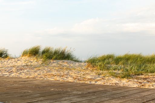 A closeup shot of a wooden walkway at a sandy beach with wild grass growing near by against beautiful cloudy sky on a sunny day