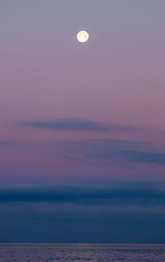 a vertical shot of full moon over ocean