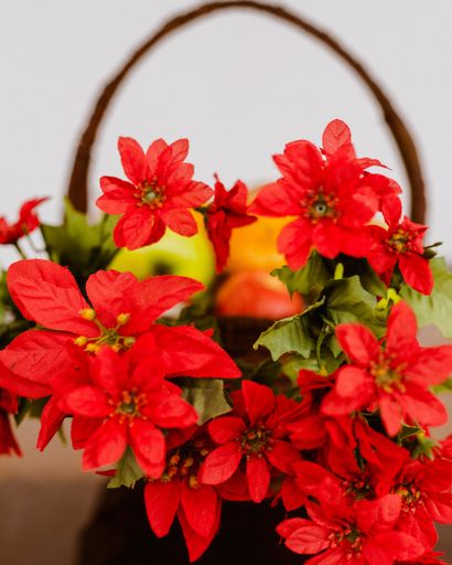 A close up shot of vibrant red flowers in a basket