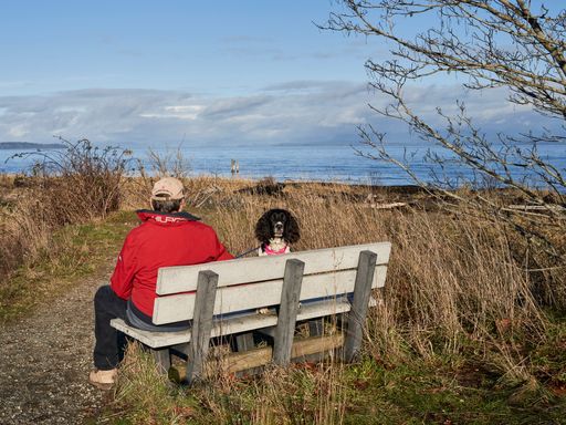 Man and his springer spaniel dog sitting on a bench amongst the tall dried grass at an ocean park.