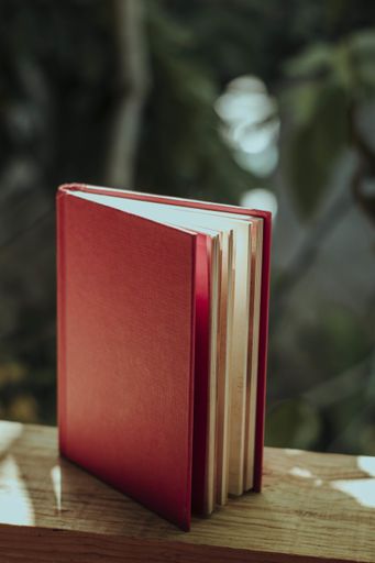 A vertical shot of a book with a red cover on a wooden fence in a garden under the sunlight