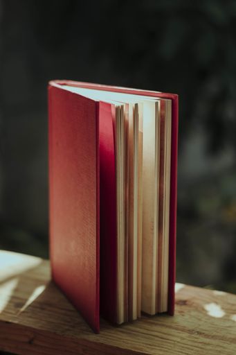 A vertical shot of a book with a red cover on a wooden fence in a garden under the sunlight