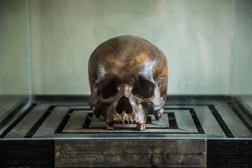 A human skull in a box in a museum