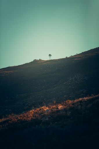 A vertical shot of a hill covered with grass