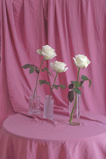 A vertical shot of three roses in glass vases on a table covered by pink fabric