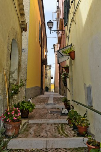 A vertical shot of a narrow cobblestone alley among houses in Mirabello Sannitico, Molise, Italy