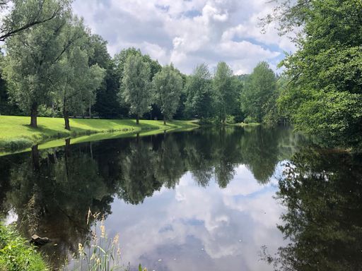 A scenic view of a small lake surrounded by trees in the city park of Bavaria, Germany under the bright sunlight