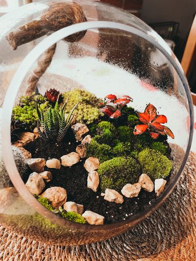 A vertical closeup shot of a terrarium with small plants and rocks on a room table