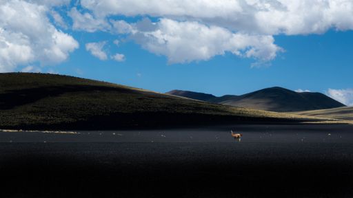A scenic view of a deer standing on a field with mountain layers on background
