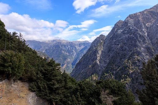 A scenic view of the rocky mountains of Samaria Gorge, covered with green pine trees in Crete, Greece