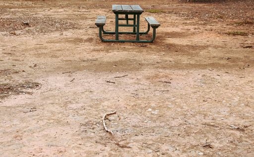 An empty wooden bench with table in arid field of a park