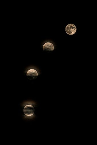 The vertical shot of phases of a moon on a black background