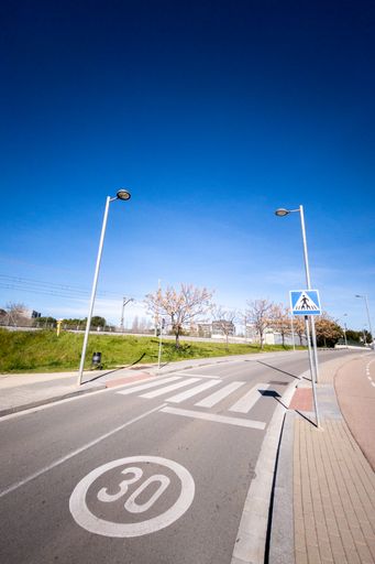 A vertical shot of a road with road marking, street lamps and greenery in a city