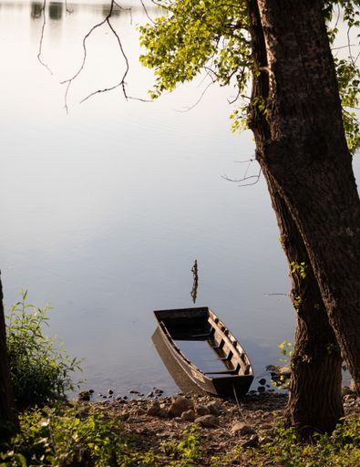 A vertical shot of a small boat parked in the seashore under the trees