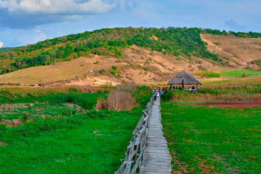 A group of people walking on a wooden boardwalk in the countryside of Cluj, Romania