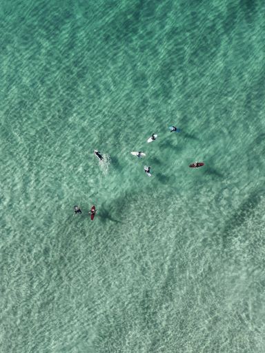 An aerial shot of surfers group swimming in a beautiful sea under the sunlight