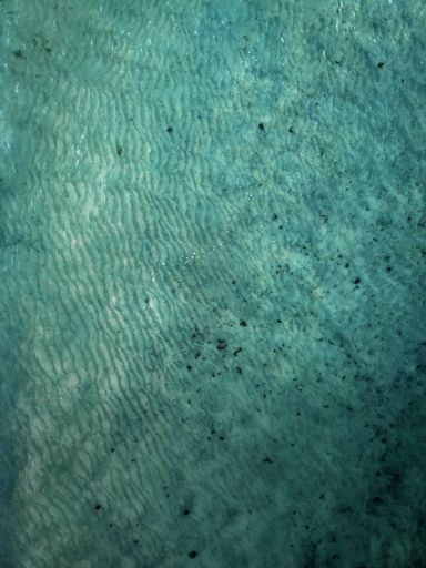 An aerial shot of a beautiful seascape under the sunlight