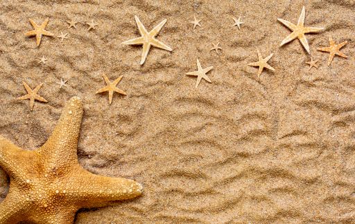 A high angle shot of a few beautiful starfish on the sand-covered surface
