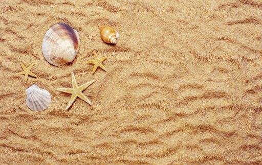 A high angle shot of some beautiful starfish and seashells on the sand-covered surface