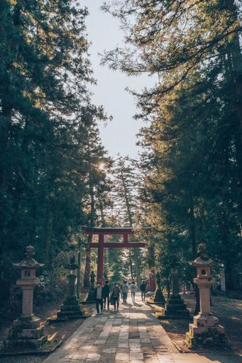A panoramic view of stone lanterns in Japan