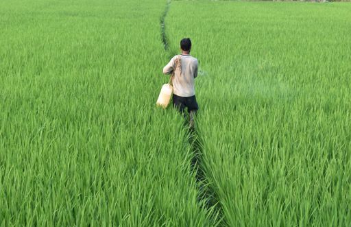 A mesmerizing view of a man farmer in a green beautiful farm spraying the crop