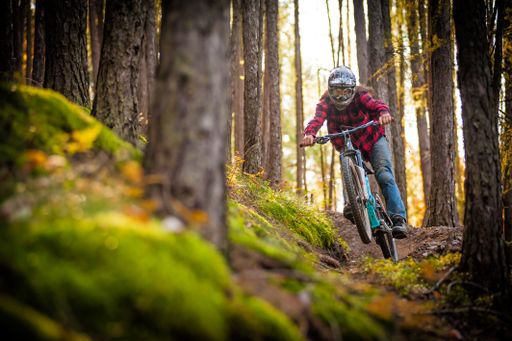 A beautiful shot of a man riding bicycle and wearing hole shot punx in forest during autumn in Slovakia