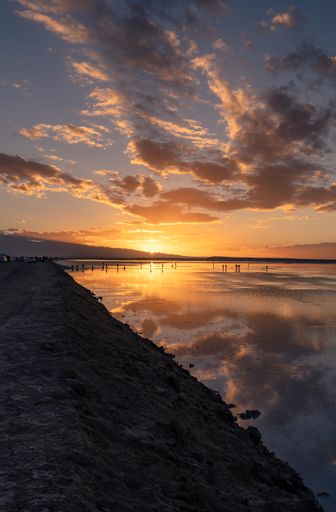 A vertical shot of the sunset over a body of water near the shore with the colorful sky reflected on it