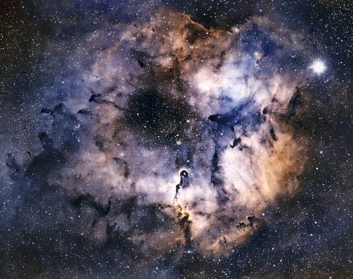 About 2400ly distant in the constellation Cepheus, IC1396 is an emission nebula ionized by the star at the centre of the obvious "trunk".