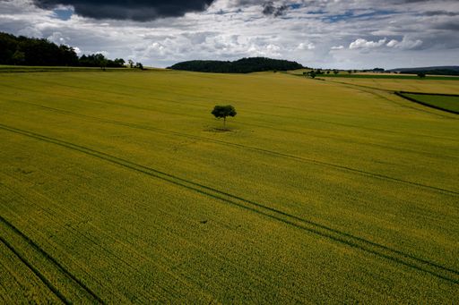 An aerial shot of a grassland under during a cloudy weather