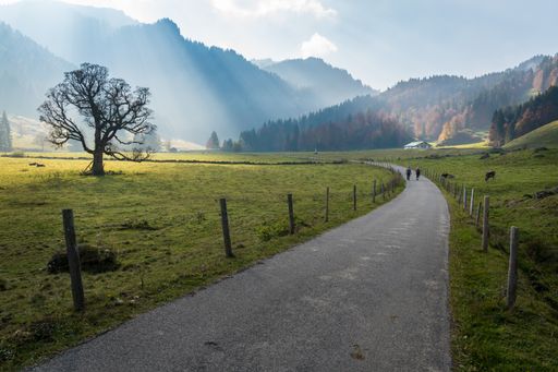 A perspective shot of people walking on a path in the middle of fields in the background of mountains.