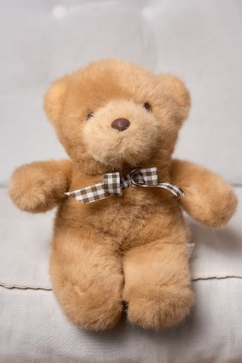 A cute teddy bear soft plush toy in a room