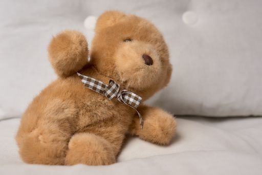 A cute teddy bear soft plush toy in a room
