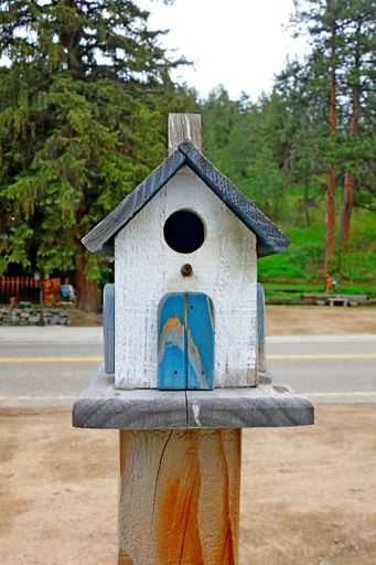 A vertical shot of a wooden birdhouse in the park