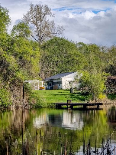 A vertical shot of a house in the forest with reflection on the pond