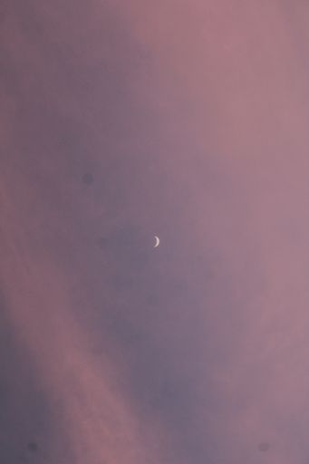 crescent moon in the late afternoon