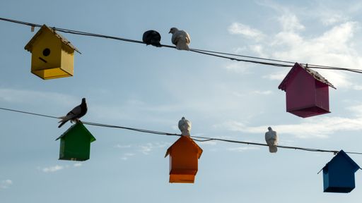A low angle shot of hanging colorful birdhouses with perched birds