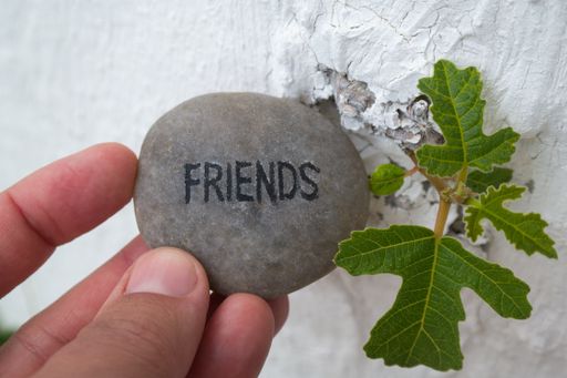 A person holding a pebble with the inscription FRIENDS near the oak leaves on the wall
