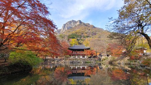 A beautiful shot of  Jangseong-gun in South Korea in autumn