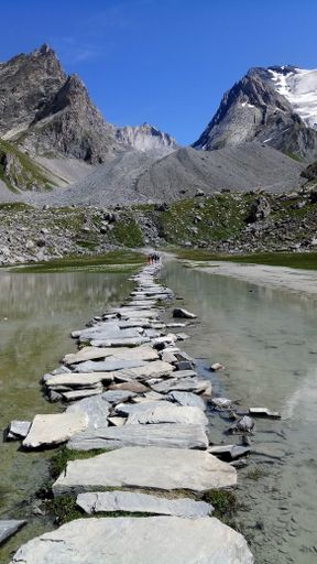 A vertical shot of a footpath made with rocks in the lake on a sunny day