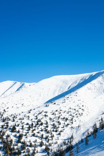 A vertical shot of a hiking resort covered in snow in Nitra, Slovakia