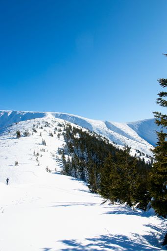 A vertical shot of a hiking resort covered in snow in Nitra, Slovakia