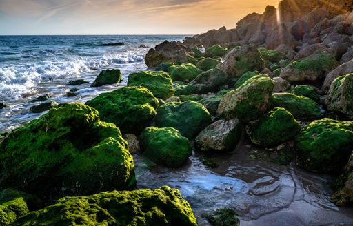 A mossy stones in seashore on a cloudy orange sunset