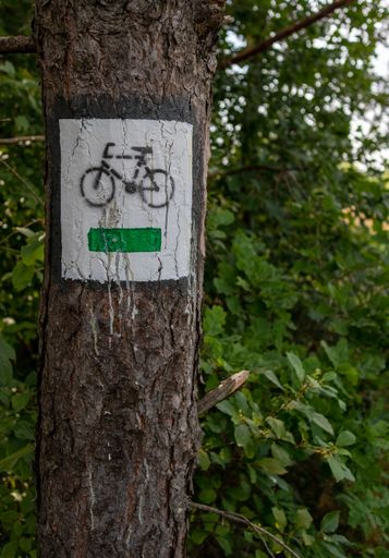 A vertical shot of a bicycle sign paint on a tree trunk in the forest with green trees