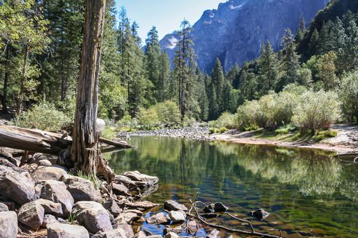 A small lake surrounded by trees at Yosemite National Park on a sunny day