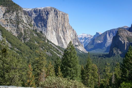 Beautiful trees and mountains against a blue sky at Yosemite National Park