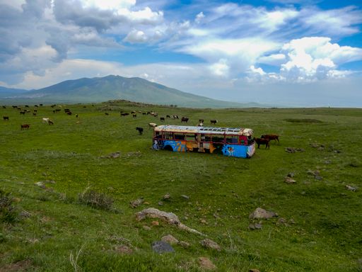 An abandoned bus with graffiti paintings in the field with cows and mountains in the background in Armenia