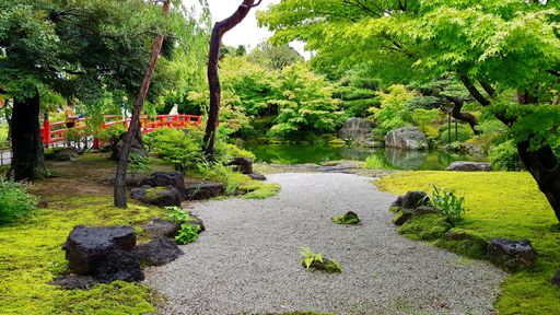 A beautiful shot of a pathway in the middle of trees near the water and a bridge